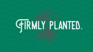 firmly planted